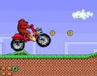 Bear Motorcycle